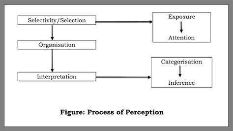 Image result for Perception Process in Communication