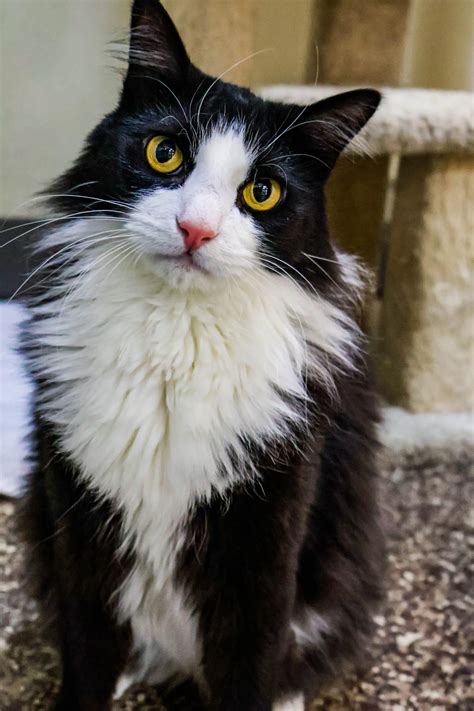 BrightSide Animal Center – Redmond, Oregon