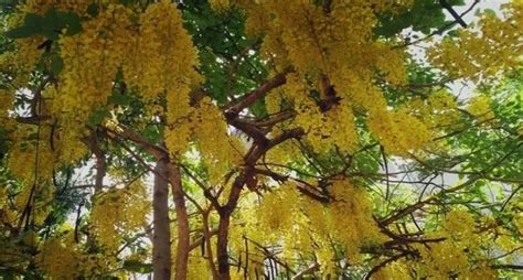 Dehu Road | WhatsHot Pune