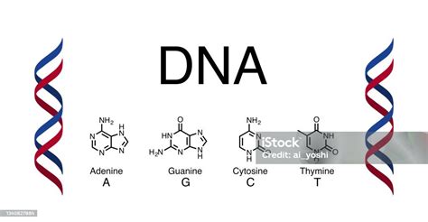 Image result for DNA Microarray Data