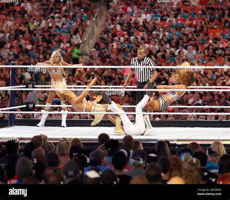 Wwe Kelly Kelly And John Cena Tag Team