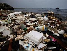 Image result for pollute 污染环境