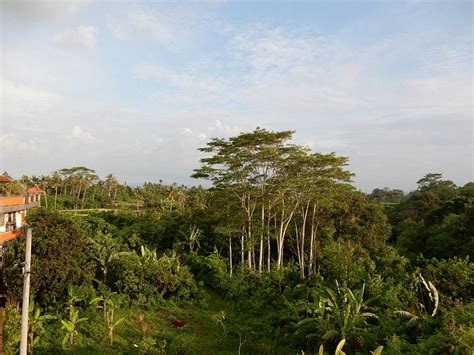 VILLA TEDUNG RIVER (Bali/Gianyar) - Guesthouse Reviews & Photos ...