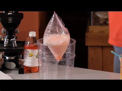 Image result for Exploding Plastic Body Bag