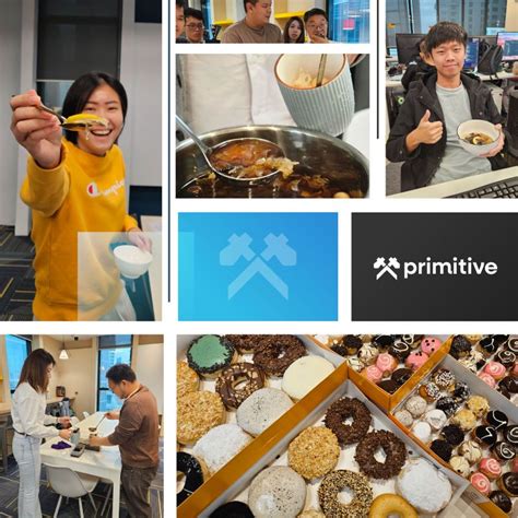 Image result for Primitive Technology.com