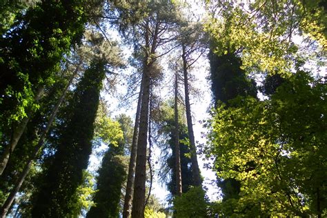 THE BEST Gargano Peninsula Resorts with Boats 2026 (with Prices)