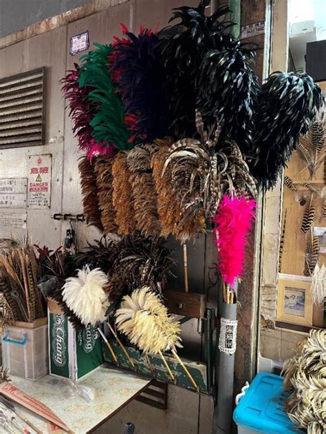 Using Feather Duster 的图像结果