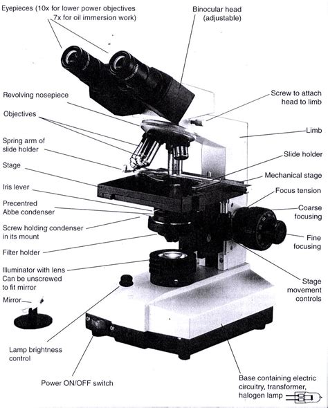 Image result for Compound Microscope Labeled