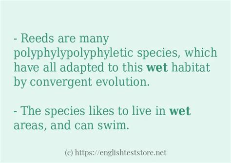 Wet Code Example Python 的图像结果