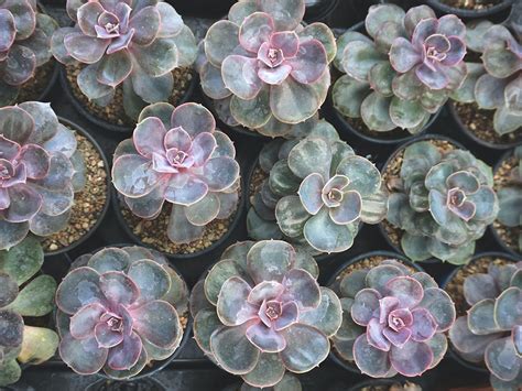 Biofertilizers 的图像结果