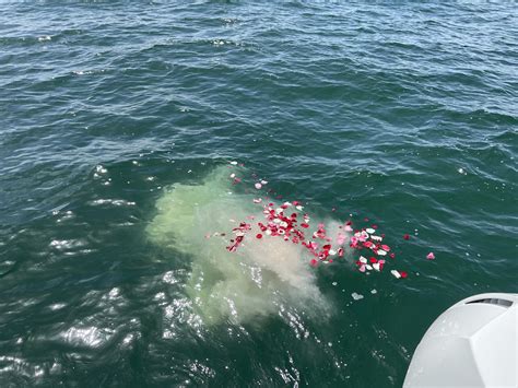 Unattended Ash Scattering at Sea in Florida | Eco-Friendly Ocean Burial Services by Ocean Ashes