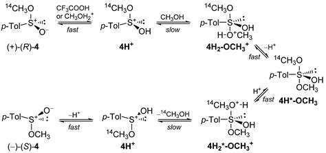 Nucleophilic Substitution at Heteroatoms—Identity Substitution ...