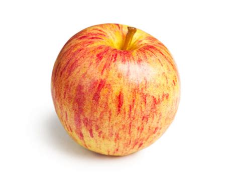 Image result for Apple System.Data