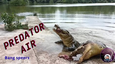 Vadai: Seberapa Banyak Kalorinya?