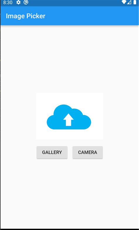 Select Image in Flutter 的图像结果