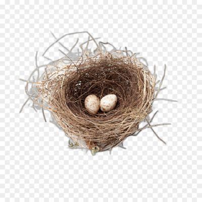 Nest Transparent HD Resolution PNG - Pngsource
