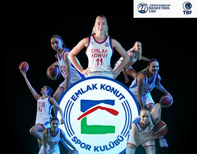 Sample Introduction 的图像结果