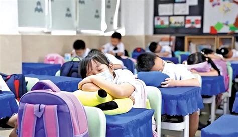 一小学收取午休费被责令退还最新素材