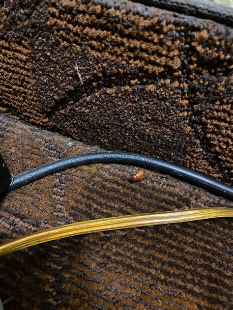 WHITE ROCK INN (San Marcos) - Hotel Reviews, Photos, Rate Comparison ...