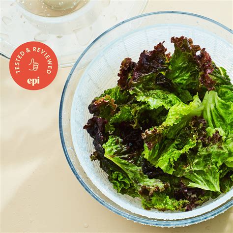 Types Of Purple Lettuce
