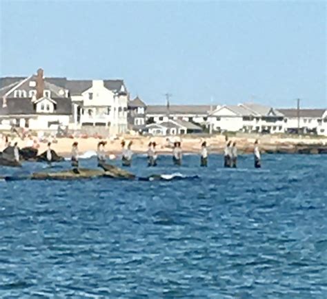 Falmouth Heights Beach - Lohnt es sich? Aktuell für 2025 (Mit fotos)