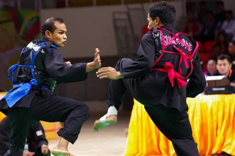 Image result for Silat Boxing