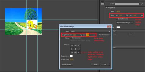 Use the Stage and Tools panel for Animate