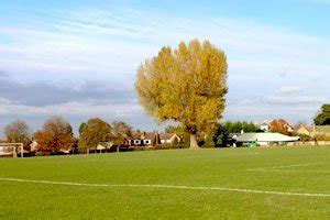 Burrows Park Sportsfield 的图像结果