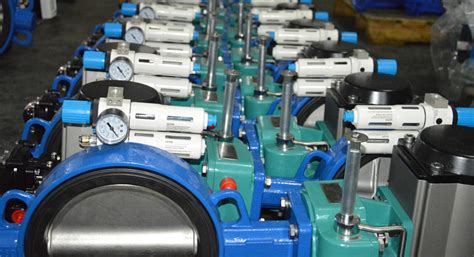 Image result for Wafer Connection Valve Installation