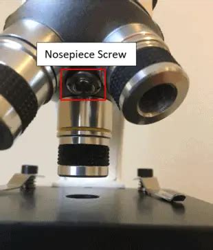 Image result for Compund Microscope