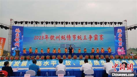 平陆运河建设动员大会在广西钦州举行__财经头条