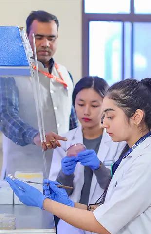 List of Faculties at SGT University