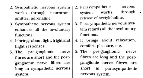 Parasympathetic And Sympathetic Nervous System Differences