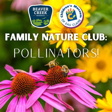 Family Nature Club: Pollinators!, The Children's Museum of Eau Claire ...
