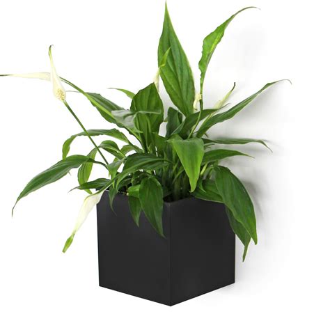 KalaMitica - Cube Magnétique "Kosmos", Récipient de Rangement pour ...