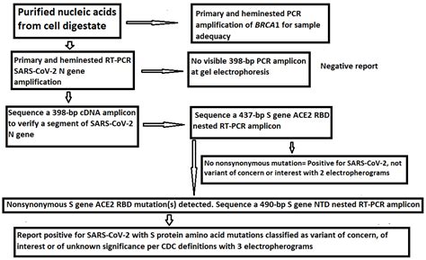 A Routine Sanger Sequencing Target Specific Mutation Assay for SARS-CoV ...