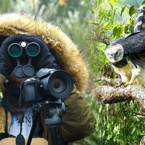 BIRDS & WILDLIFE PHOTOGRAPHY TOUR NEAR BOGOTÁ RETORNO PHOTO TOURS (2026 ...
