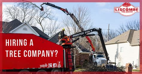 Image result for Hiring Tree Example