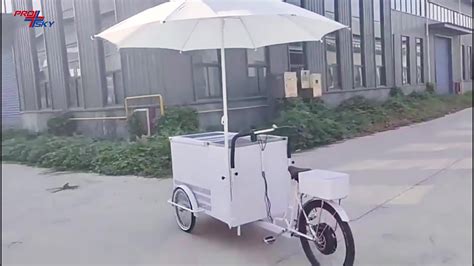 Prosky Mobile 3 Wheel Ice Cream Cargo Bike Electric Solar Vending ...