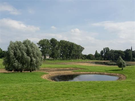 Dike at the rhine | Premium Photo