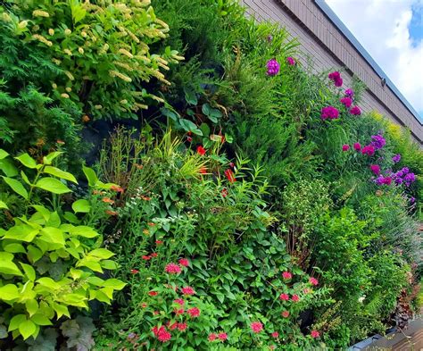 Urban Blooms Cincinnati