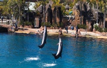 Beautiful 11 Days 10 Nights Goldcoast Holiday Package | Melbourne ...
