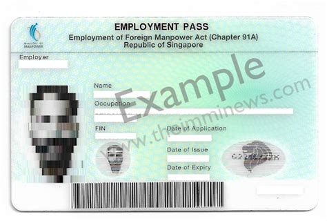 新加坡工作的证件有几种你知道吗？（2020年）