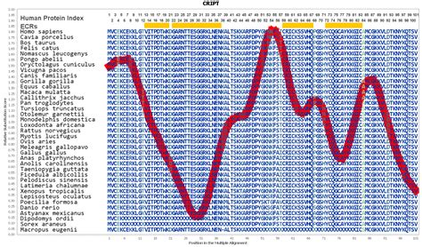 Image result for Cript Google