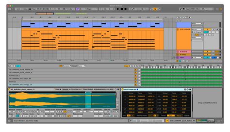 Ableton Sampler Tutorial 的图像结果