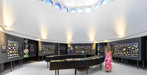 THE BAILEY-MATTHEWS NATIONAL SHELL MUSEUM & AQUARIUM (2025) All You ...