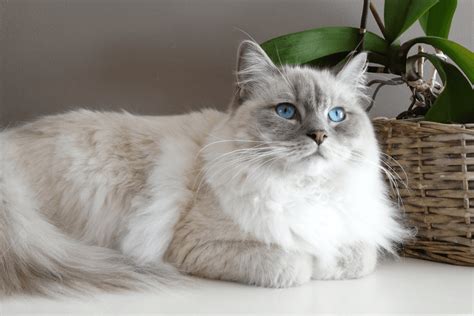 Image result for Material Classification Deep Learning