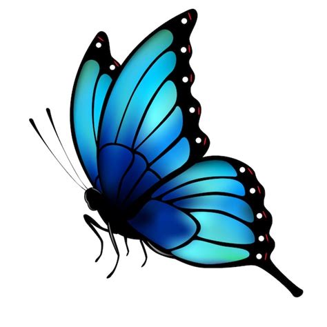 Clipart Schmetterling Bilder - Kostenloser Download auf Freepik