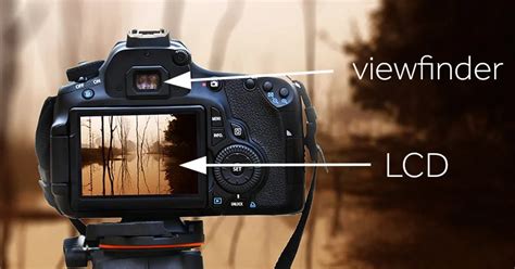 Live View Camera 的图像结果