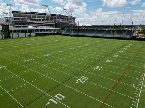 Natural Grass Field 的图像结果